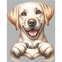 Valentine's Day-QRJ  4694